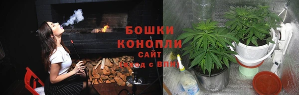 прущие грибы Зеленодольск
