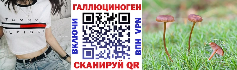 Псилоцибиновые грибы MAGIC MUSHROOMS  сайты даркнета клад  Котельники 